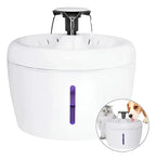 Dispensador de Agua Automático para Mascotas con Filtro Purificador