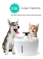 Dispensador de Agua Automático para Mascotas con Filtro Purificador