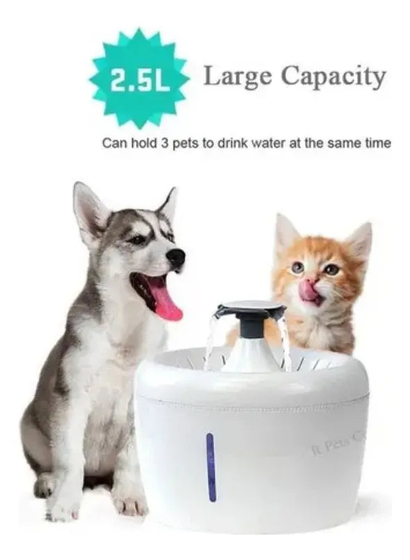Dispensador de Agua Automático para Mascotas con Filtro Purificador