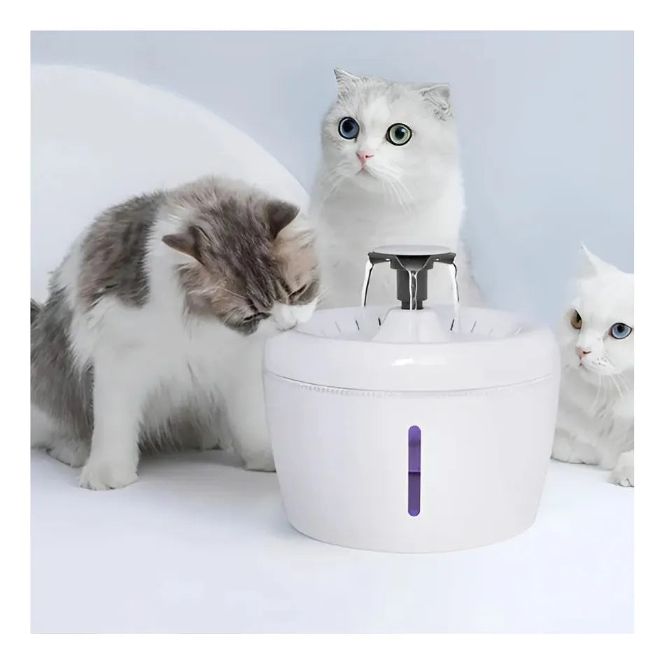 Dispensador de Agua Automático para Mascotas con Filtro Purificador