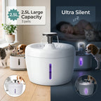 Dispensador de Agua Automático para Mascotas con Filtro Purificador